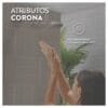 REGISTRO DUCHA CORONA ALUVIA PALANCA